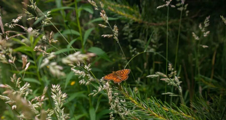 家电又要涨价！美的海信TCL泡泡玛特出手海尔小米九阳索尼有变-家电圈官网