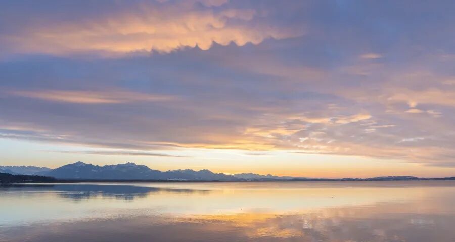 资本抢滩实体店家电厂商快醒醒‍！-家电圈官网