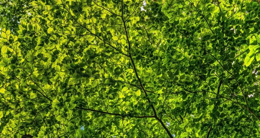 家电线上低价线下高端困局怎么破？-家电圈官网