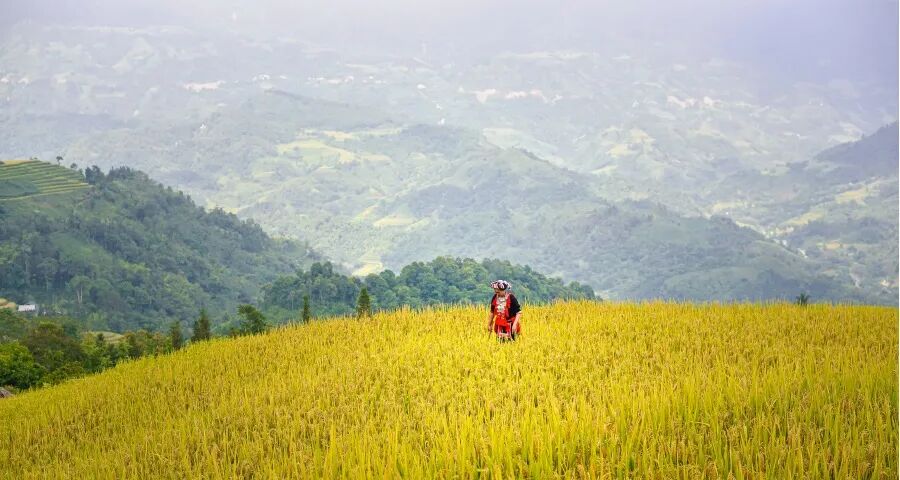 一位家电销售人员的自我修养-家电圈官网