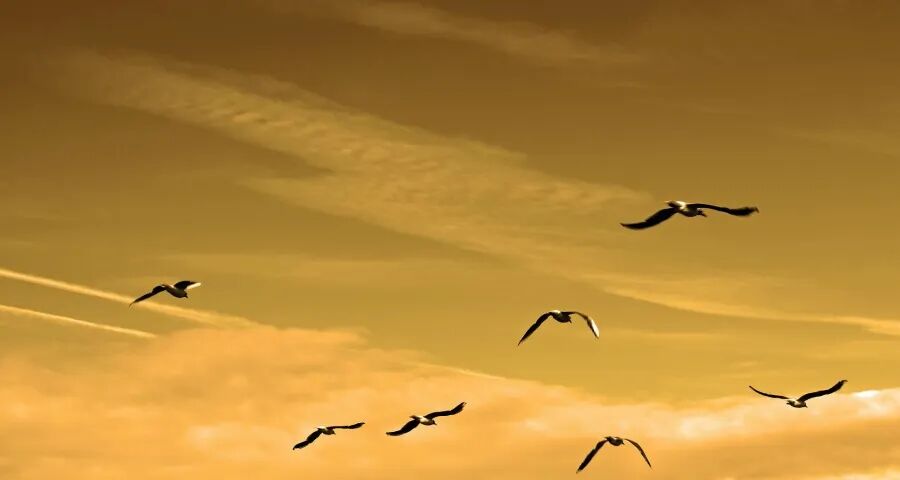 一季度家电消费市场亮红灯了-家电圈官网