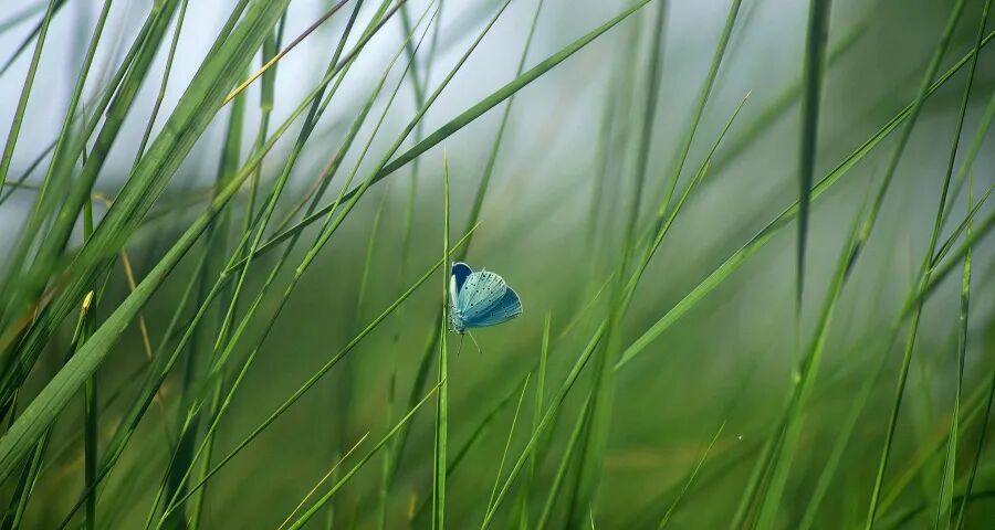 家电线上线下同款同价越搞越乱-家电圈官网