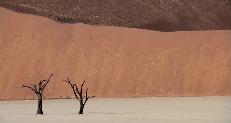 家电厂商的合作关系要回到原点-家电圈官网