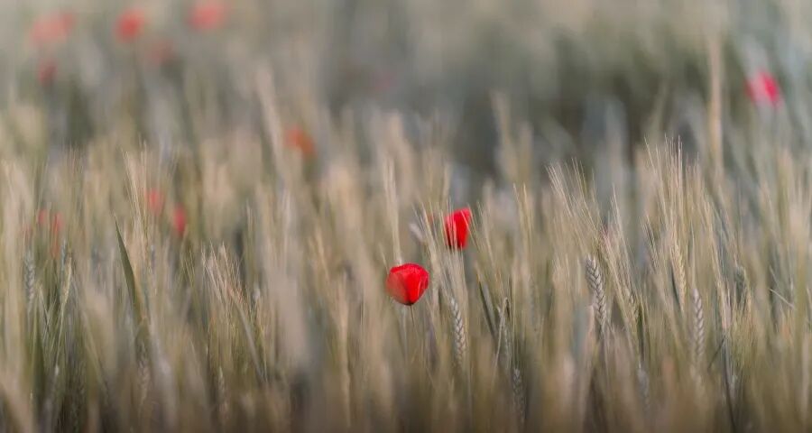 荣事达冰柜容积缩水40%，揭开家电市场两大新乱象-家电圈官网