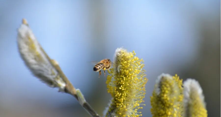 家电国补稳线上涨！美的格力安吉尔三星破局京东美菱小米云鲸有变-家电圈官网