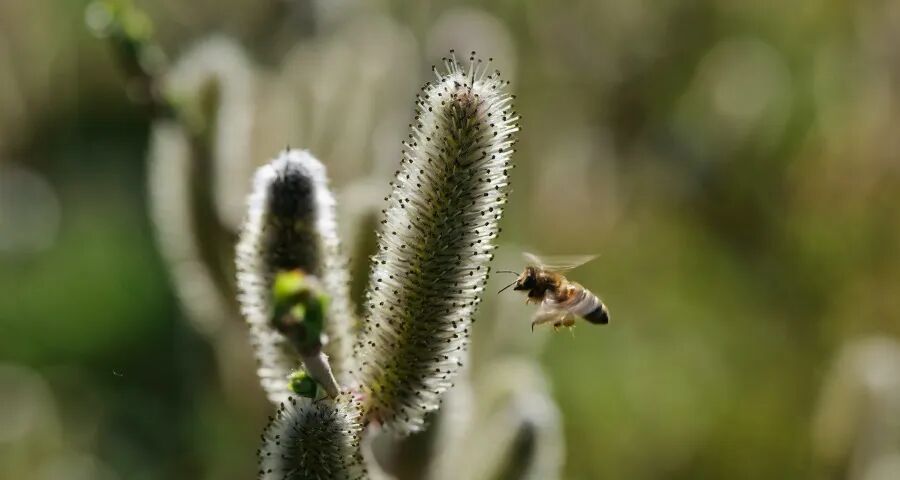 二季度家电市场三个挑战两大变量-家电圈官网