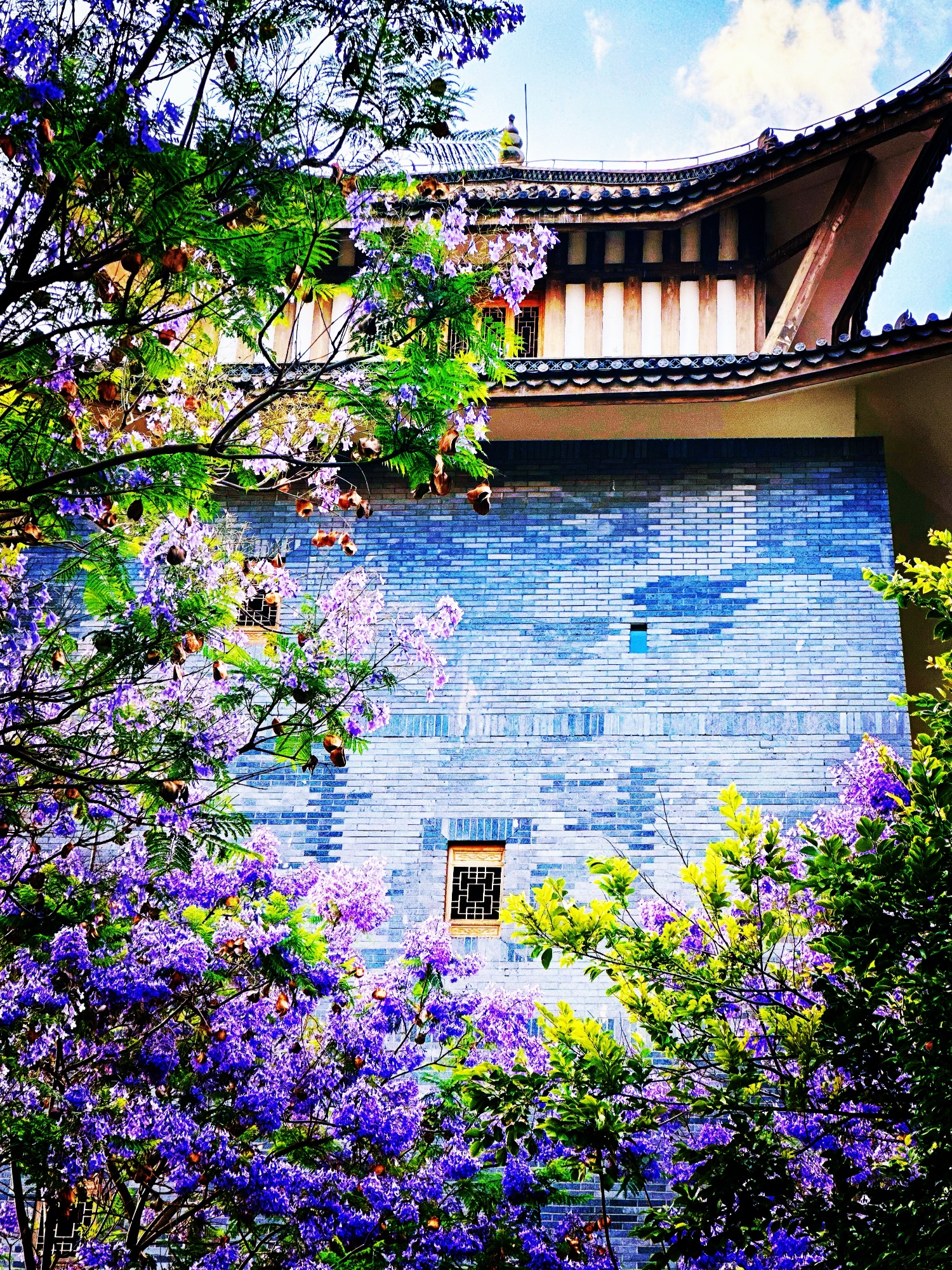 一朵花与一座城的双向奔赴