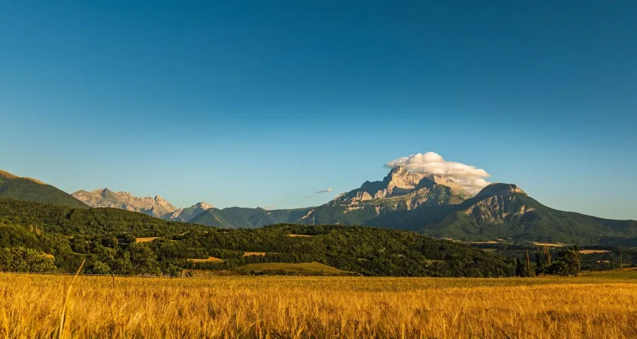 格力海信激战空调真铜实料为什么?-家电圈官网