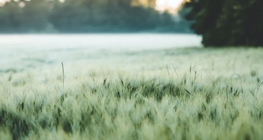 即时零售真能拯救家电实体店？-家电圈官网