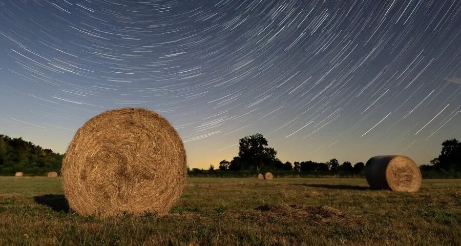 家电国补今年首次生变！两省率先扩大品类-家电圈官网