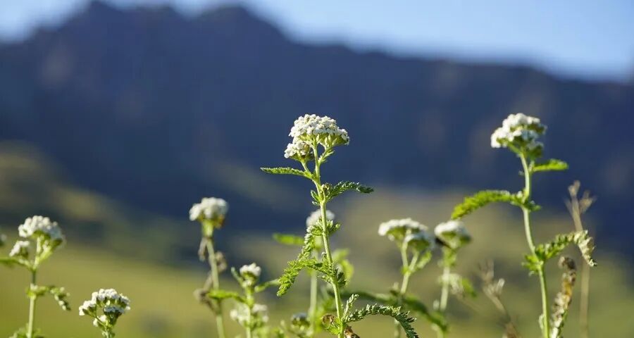 家电国补扩围：长虹奥克斯方太追觅发力，海信格力TCL小熊激战-家电圈官网