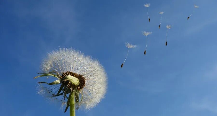 ‍中国家电市场的价值战来了！-家电圈官网