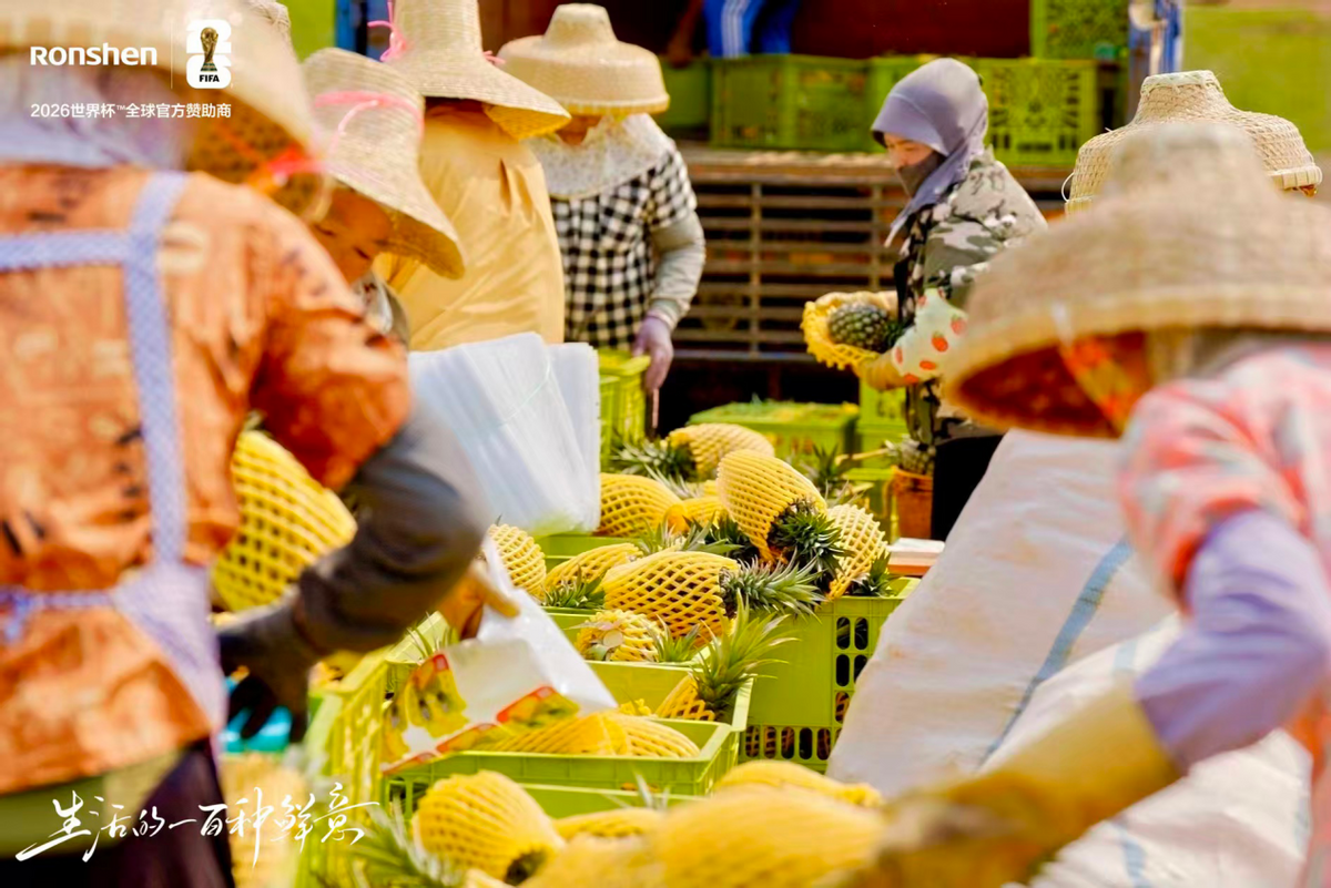 容声冰箱“寻鲜之旅”落地徐闻 携手菠萝产业开启原产地新鲜接力-家电圈官网
