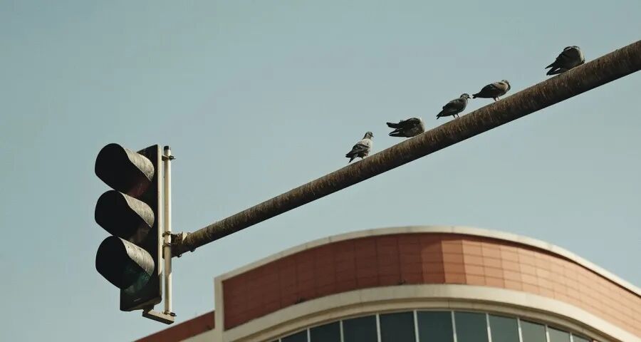 ‍家电国补地方扩大品类，厂商直言“喜忧参半”-家电圈官网