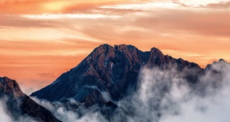 今年起家电厂商最重要的任务！-家电圈官网