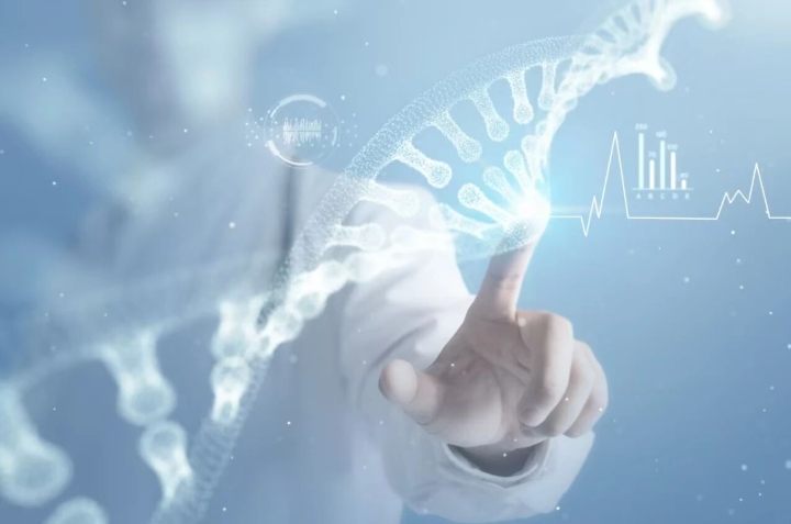 莎普爱思.png