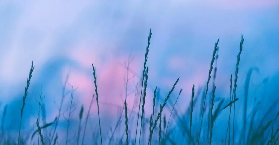 泡泡玛特冰箱来了！海尔美的格力追觅较量康佳澳柯玛火星人遇阻-家电圈官网