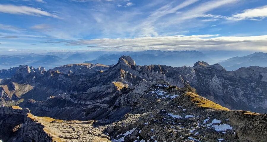 家电经销商不是今年太难了！是早就无路可走-家电圈官网