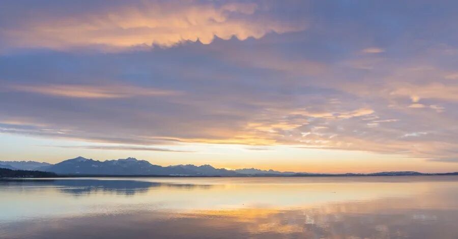 家电IP化时代来了！京东“冰箱动物城”背后的用户思维-家电圈官网
