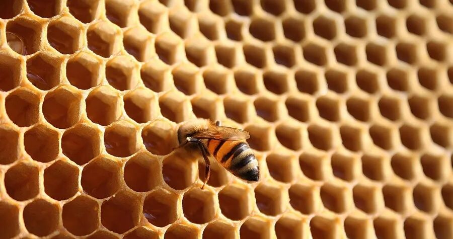 今年头部家电厂商问时间要增长！-家电圈官网