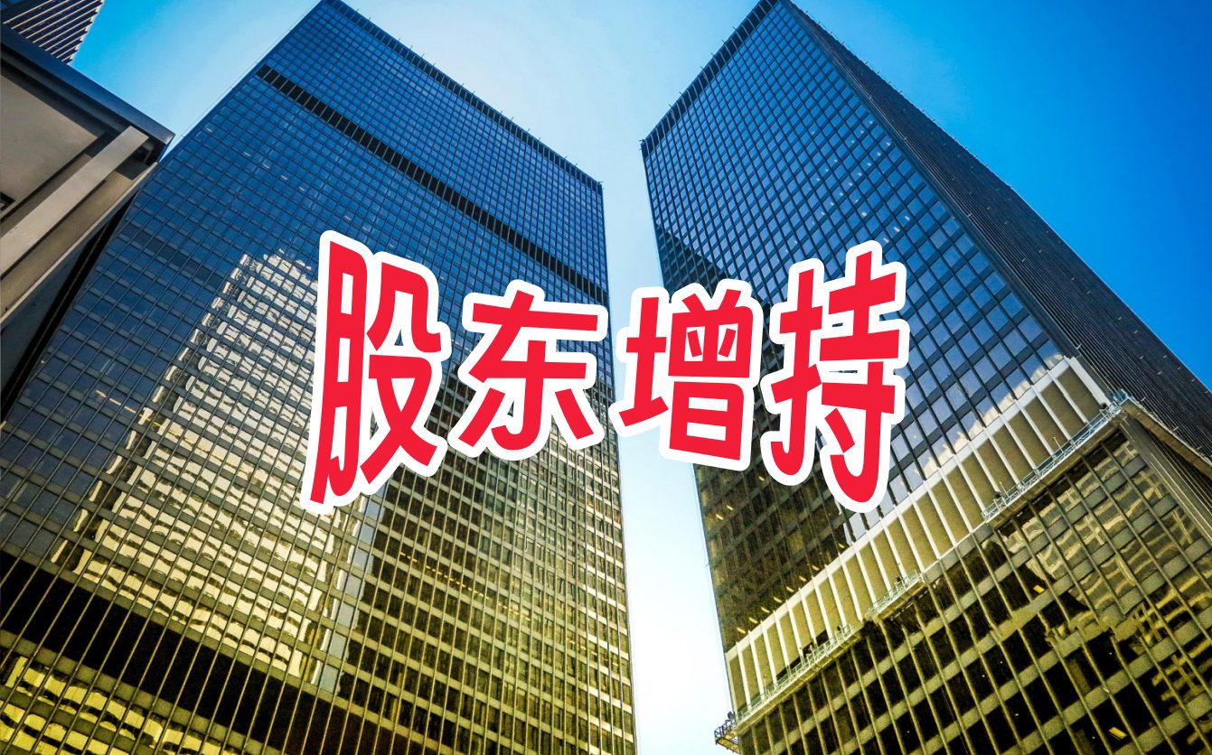 股东增持.jpg