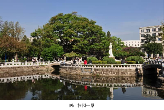 四十八年前的今天，我踏进了阳光灿烂的日子
