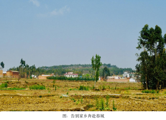 四十八年前的今天，我踏进了阳光灿烂的日子