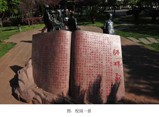 四十八年前的今天，我踏进了阳光灿烂的日子