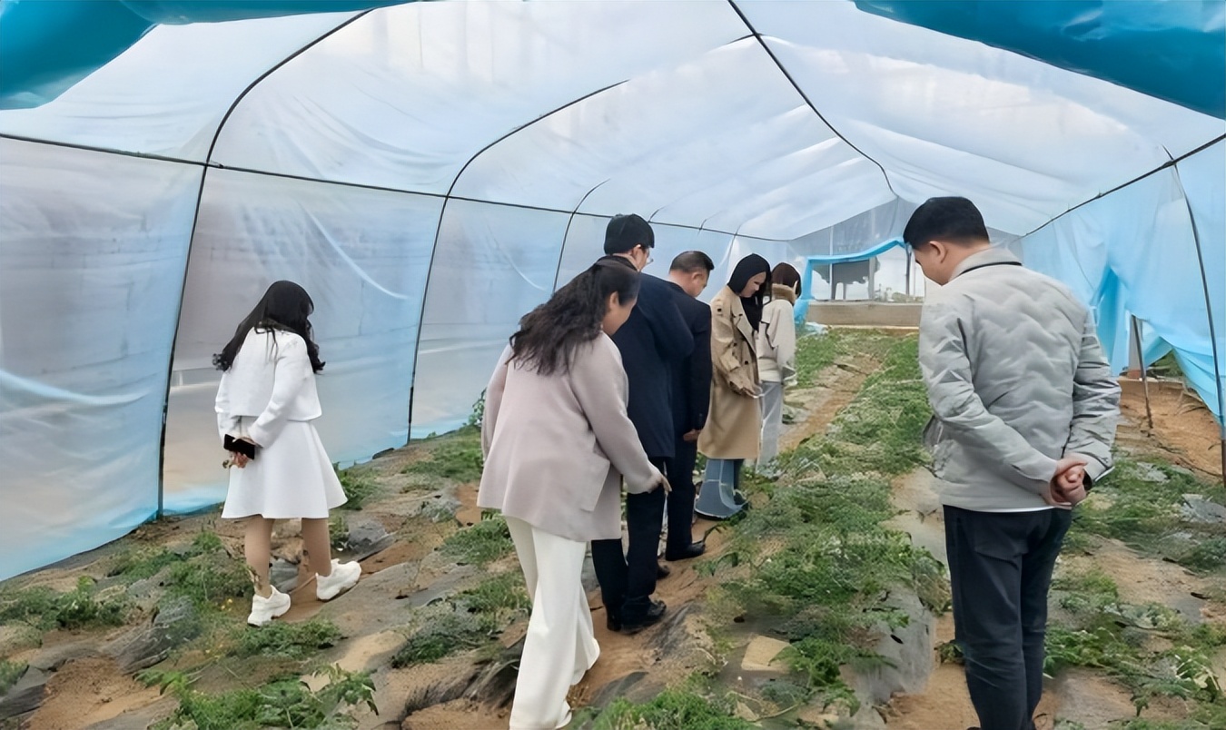把论文写在祖国大地上 “乡村振兴审计”结硕果——武汉学院会计学院师生寒假社会调研荟萃-科记汇