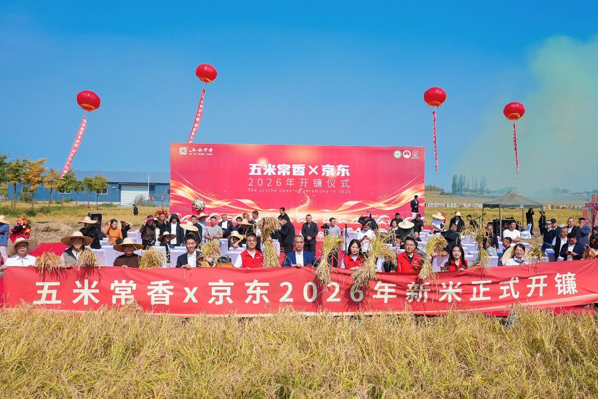 2026年五常大米开镰：产量将突破80万吨 五常大米预订量增长160%