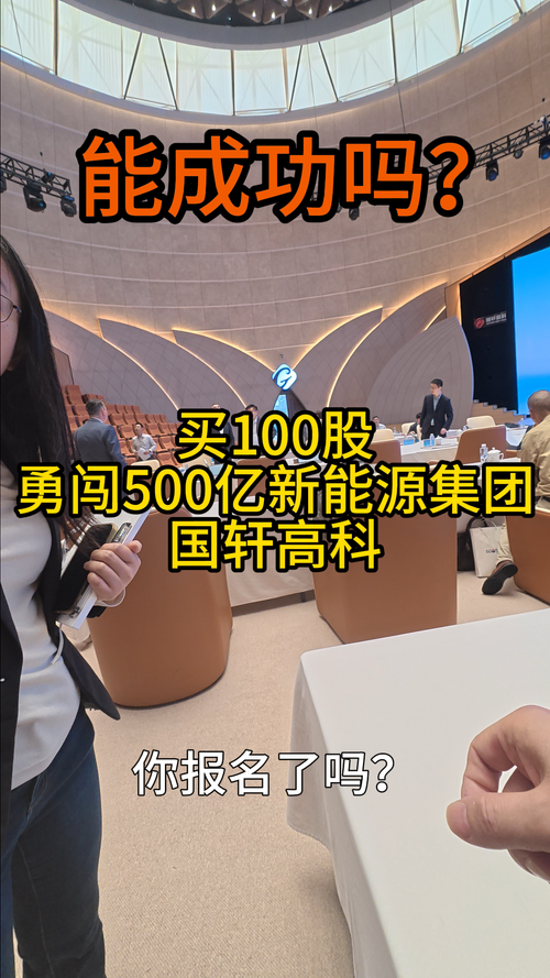 去了趟国轩高科