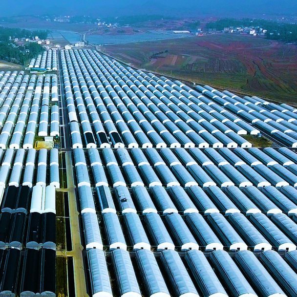 喜讯雪榕与建行签约会银企三方联动助力食用菌产业全面加速发展