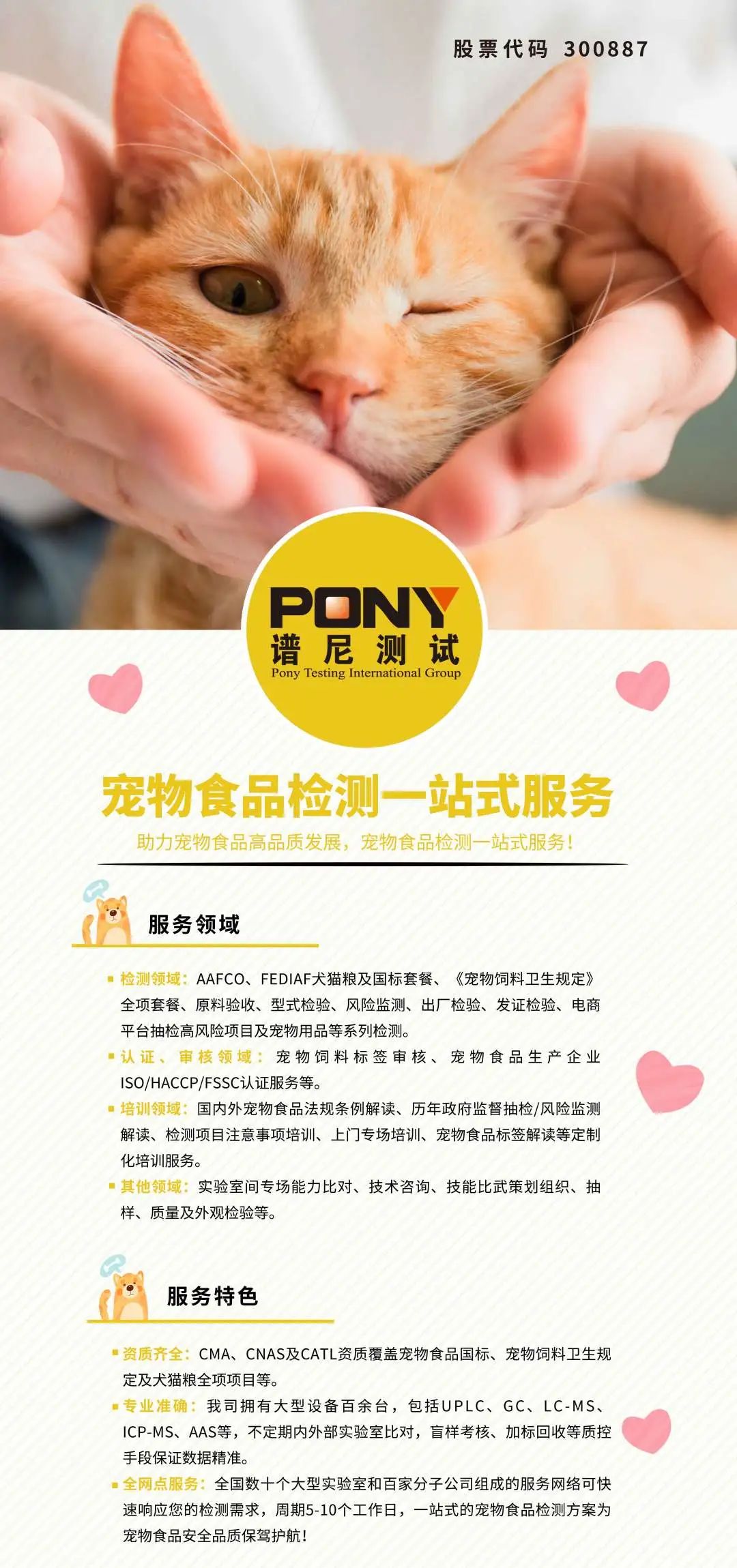 了解冲亚丝网：引领未来印刷技术的革新