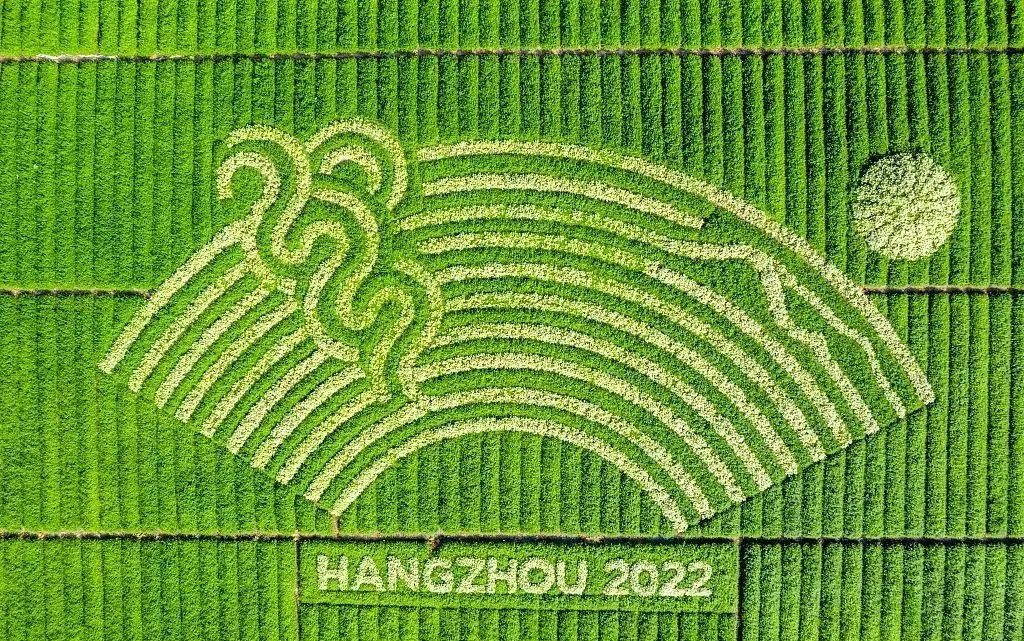 杭州亚运会丨梦天木作助力绿色亚运践行绿色赛道为健康喝彩