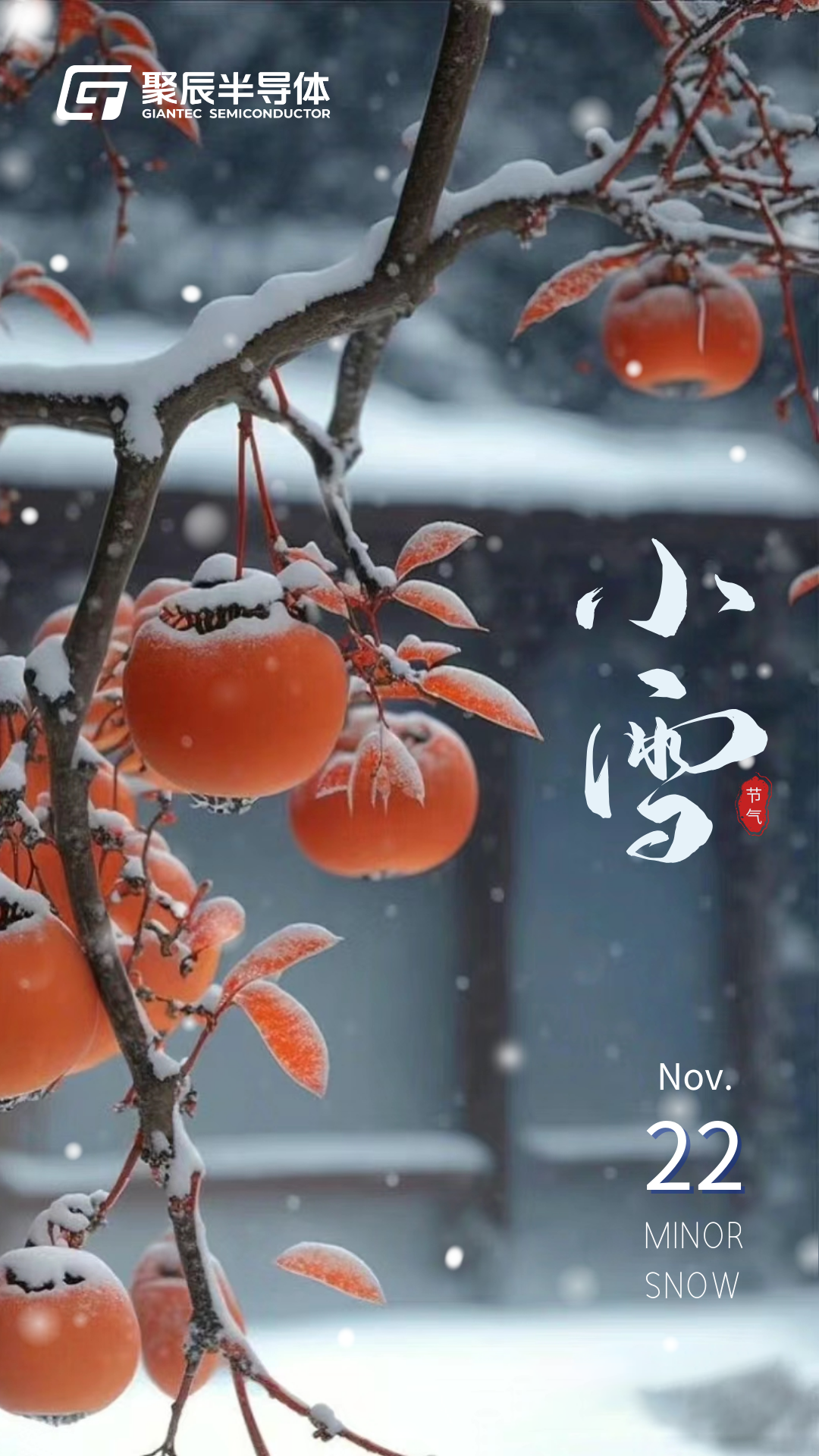 小雪| 小雪清寒 莹然生光_财富号_东方财富网