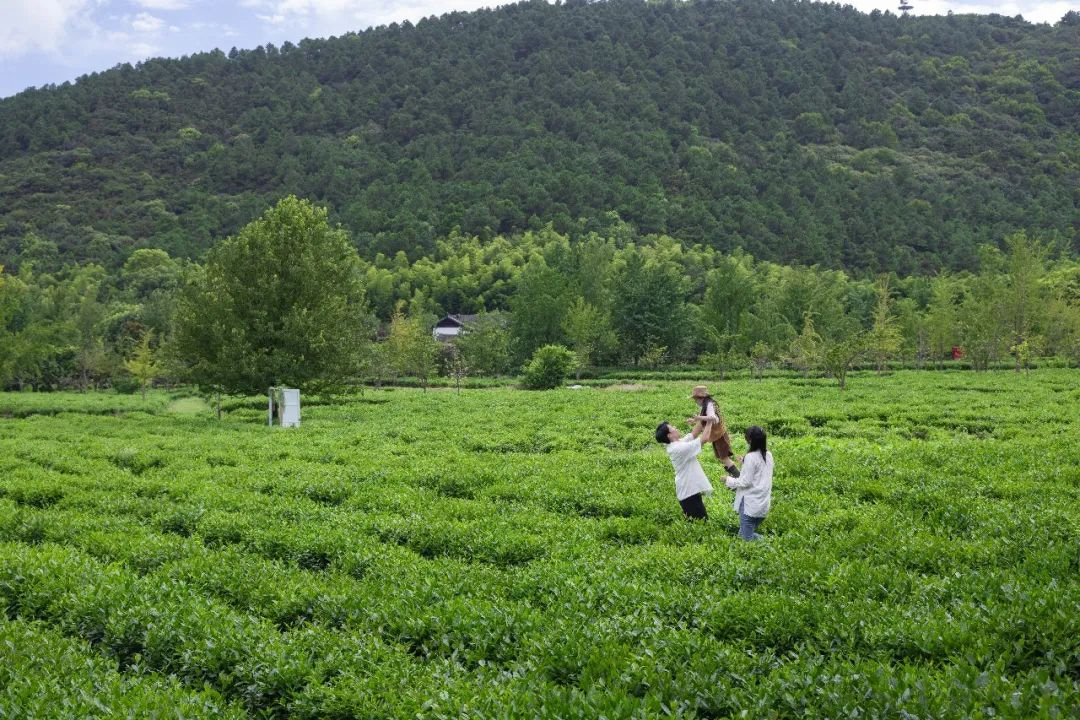 蘇州旺山洛嘉部落the sil01s大筒倉二期集xspace光影互動遊戲,沉浸