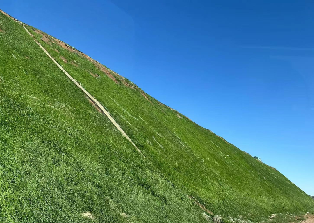 解难题促发展包钢股份巴润分公司推进绿色矿山建设为矿山再披绿装