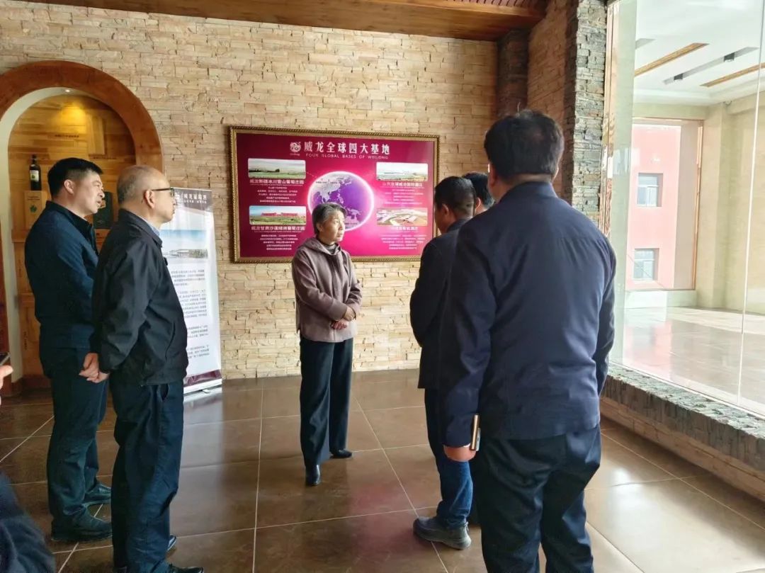 武威市委副书记市长马秀兰一行到访威龙欧斐堡