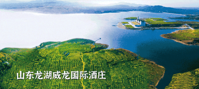 喜报威龙有机酒庄干红葡萄酒c8荣获2023年度青酌奖