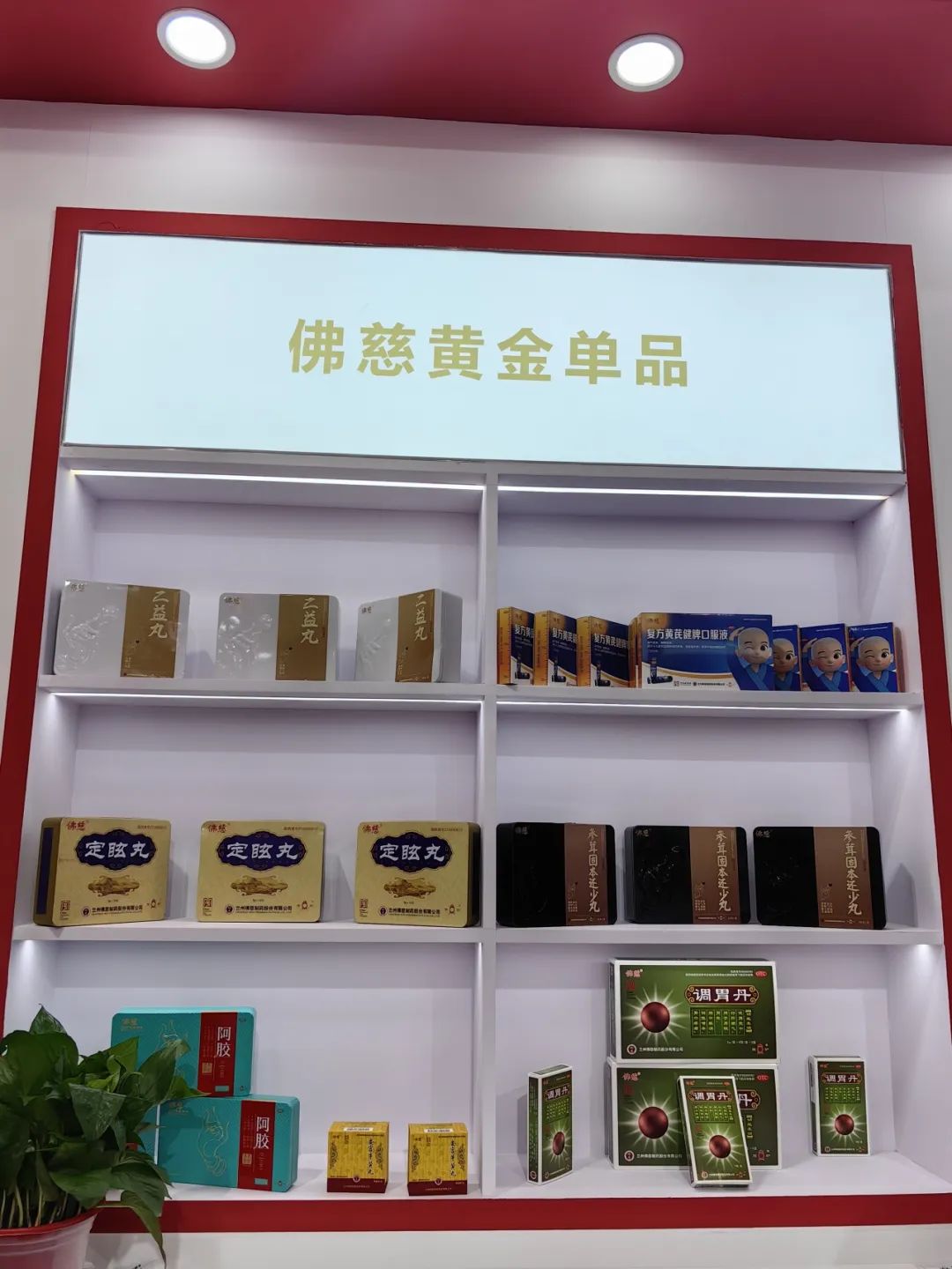 2024乌镇健康大会佛慈制药精彩亮相与您不见不散