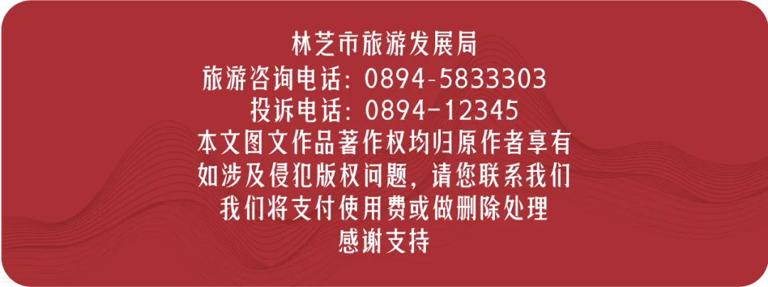 林芝市发布"引客入林"促进旅游消费市场奖励措施