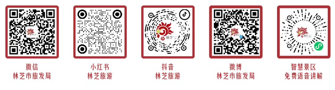 林芝市发布"引客入林"促进旅游消费市场奖励措施