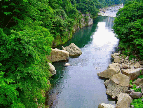 n8494373140498ģ n8494373140498_1
