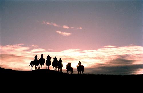 夜阑卧听风吹雨铁马冰河入梦来