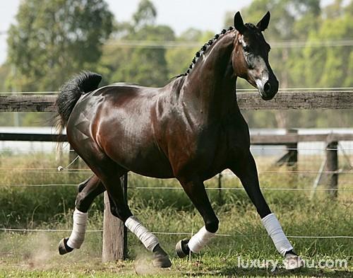 南京高科(600064)股吧_东方财富网股吧