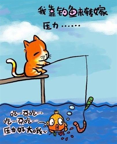 猫和鱼的爱情故事图片
