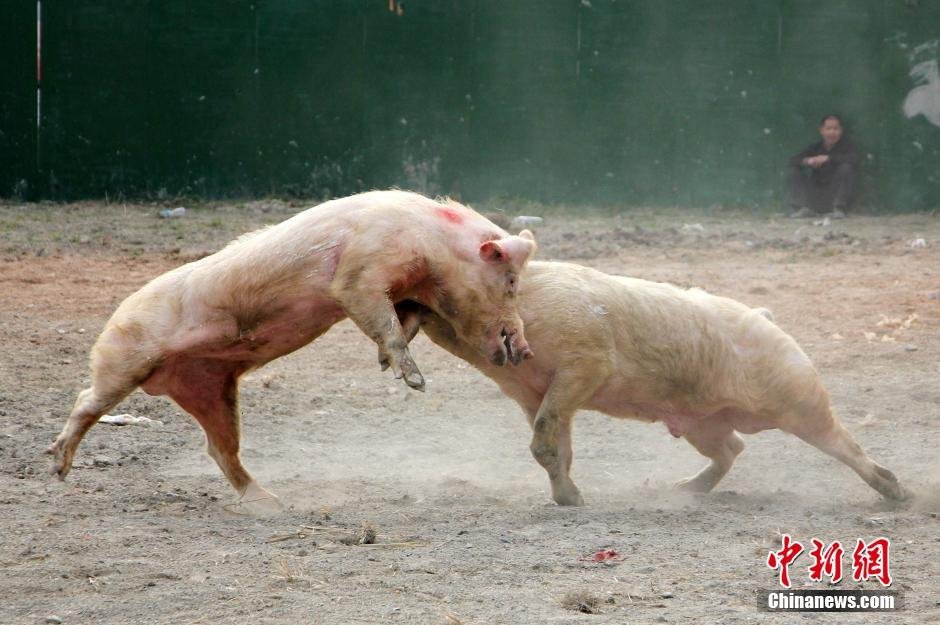 中国现行的融资与融券是赌场的特征,那是赌场借出筹码与散户对赌