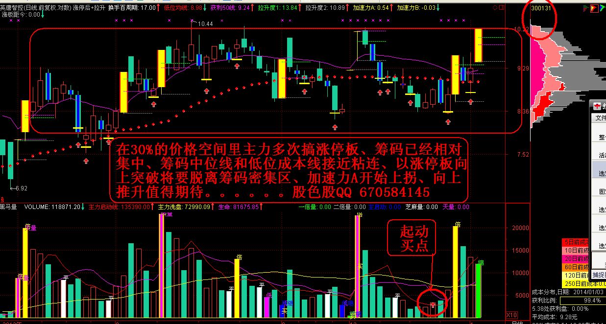 漲停基因多之牛股300131