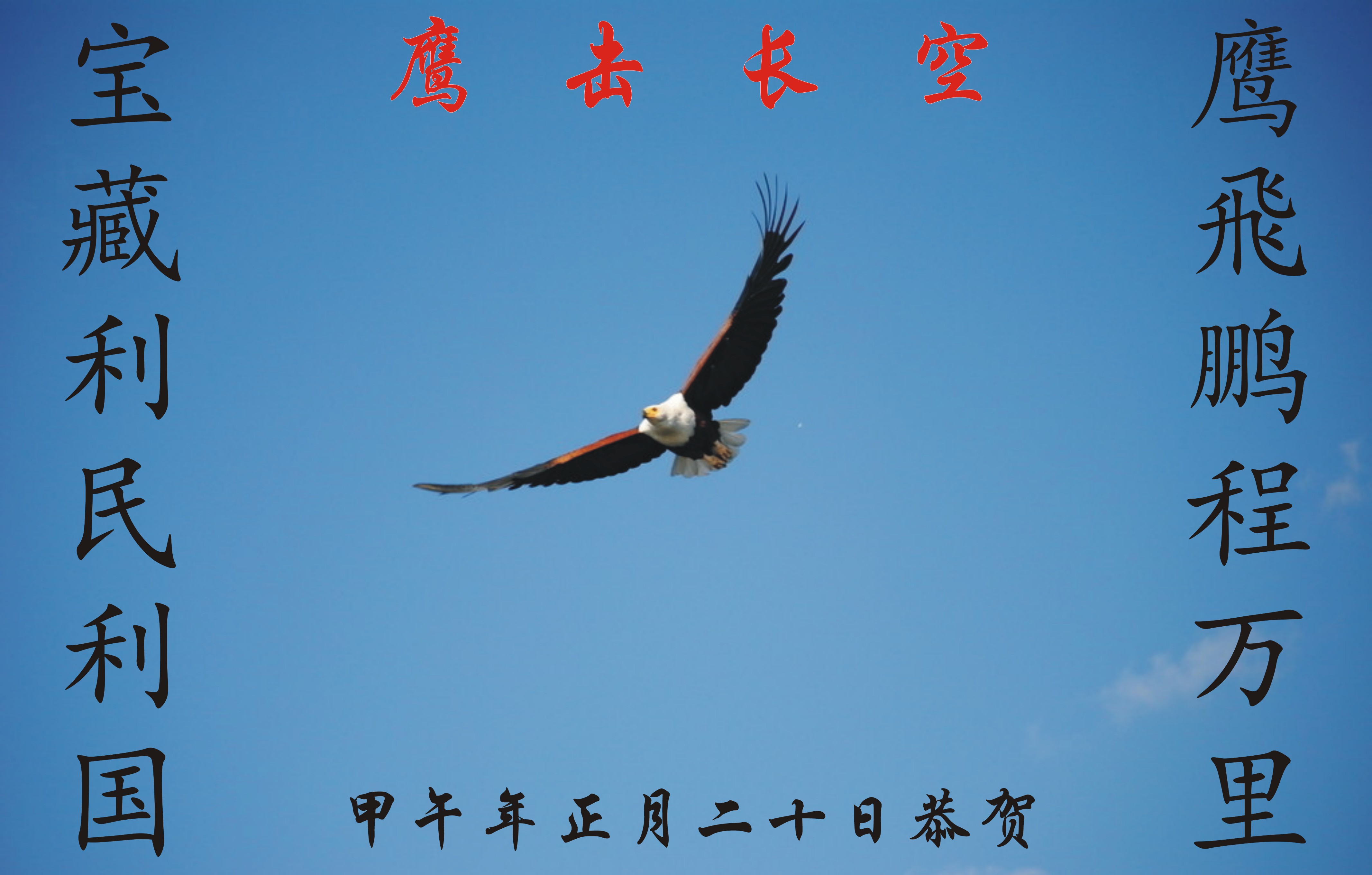 鹰击长空,鹏程万里!