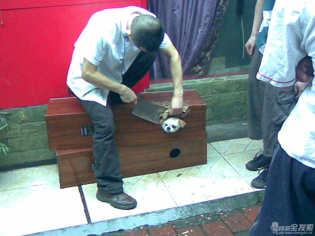 哈哈,利好不涨,等 s 吧,研报内详